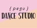 peguダンススタジオ