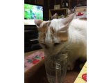 おはようございます。今週もよろしくお願いいたします。