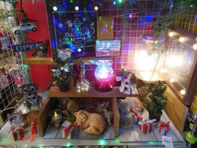こんばんは!相模原市のリサイクルショップです。