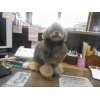 ☆お友達紹介☆