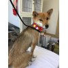 本日のお客様♪その1