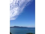 短いですが・・