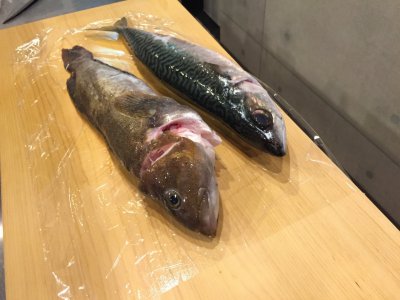 結局1週間