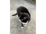 おはようございます。きょうも一日ハッピーな笑顔で頑張りまーす。