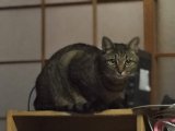 おはようございます。きょうも元気な笑顔でよろしくお願いいたします。