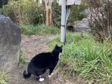 おはようございます。きょうも一日、明るい笑顔で頑張りまーす。