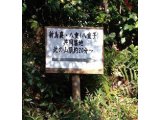 目標へ向けて①