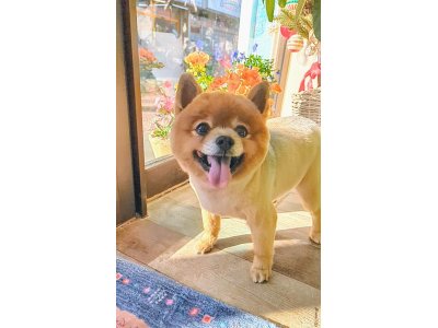 ライアンくん