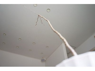 山桜