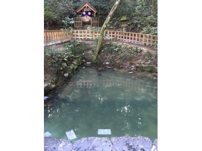 縁結びの八重垣神社　「鏡の池で占い」