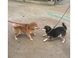 今日は、平穏無事な1日でした。