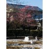 建国記念の日