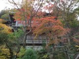 水雲閣と紅葉