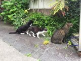 おはようございます。きょうもハッピーな笑顔で頑張りましょう。