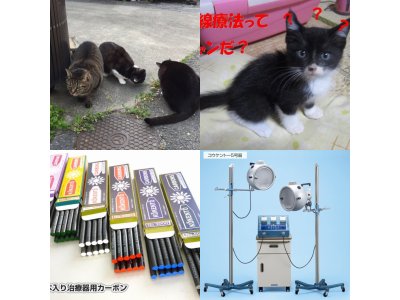 おはようございます。きょうも元気な笑顔で頑張りましょう。