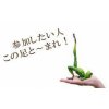 クラス内容：初心者の方から経験者の方まで幅広くクラスがございます。