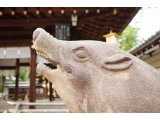 NO JOURNEY NO LIFE 京都第8弾 #115 護王神社 #116 京都御所