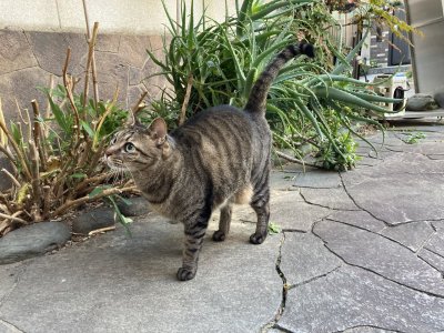 おはようございます。きょうも一日、元気な笑顔で頑張りましょう。