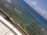 沖縄　ダイビング　砂辺ＮＯ１が仮ＯＰＥN