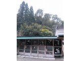 今日は 立春 は~るよ来い♪~ 昨日は、11時過ぎていたので、一人で窓から、豆まきをしました↓