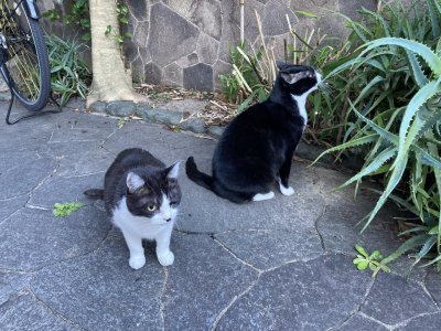 おはようございます。今週も元気な笑顔で頑張りましょう。