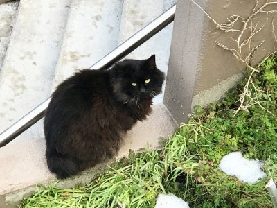 今日は朝冷えましたね。