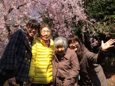 垂れ桜