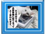 ネット充実の影響で我々のような写真撮影業者にも様々なメール受信・・・