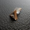 【mollive/モリーヴ】入荷情報!!