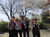 ラスト桜