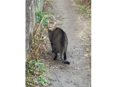 おはようございます。きょうも光線療法でハッピーに過ごしましょう。