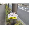 第41回 隅田川花火大会が開催されました！