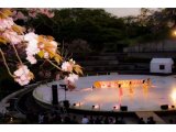 静峰ふるさと公園八重桜祭り