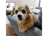 虚無感で・・・
