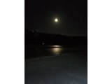 水田にきれい月が。