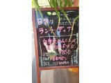 11/5ランチ・ディナー