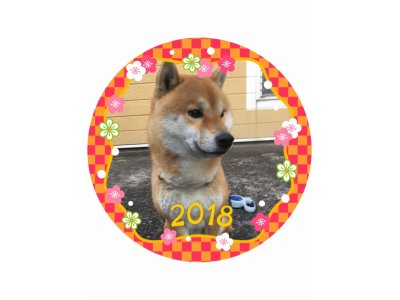 新年明けましておめでとうございます