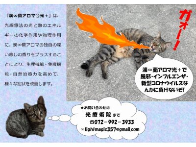 漢∞蘭アロマ光＋でコロナウイルスに負けない元気な体を作りましょう