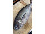 今日もしっかり市場で仕入れてきましたよ