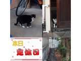おはようございます。きょうも明るい笑顔でよろしくお願いいたします。
