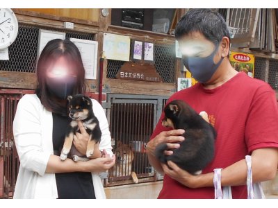 ゴーツー 川野犬舎へようこそ　有難うございました。