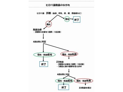 ピロリ菌除菌コース