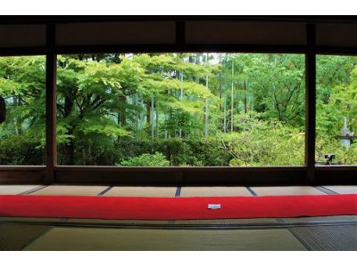 NO JOURNEY NO LIFE 第4弾 No.43宝泉院