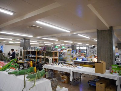 展示会