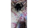 土砂降りです。