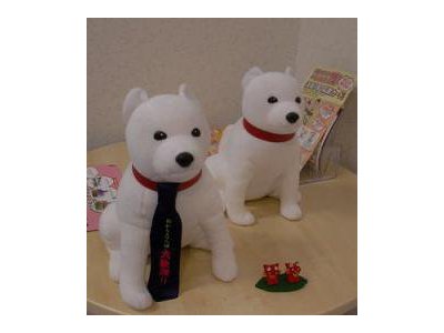 学力調査が実施されます