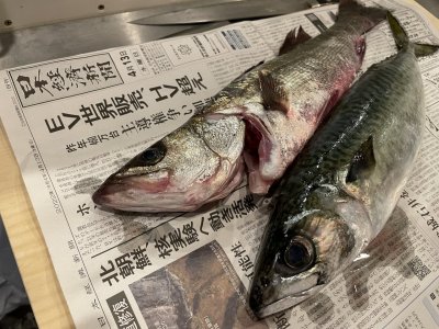 つまらない月?