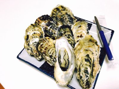 今が旬!産地直送、北海道サロマ湖産2年牡蠣。お歳暮やご贈答用にも最適。