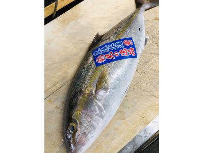 休み明けの営業です。