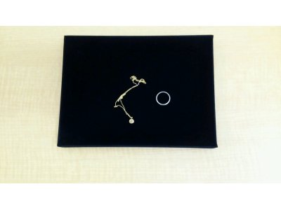 ネックレス・指輪 買取しました
